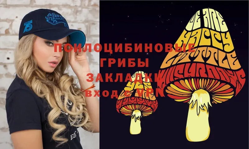 Галлюциногенные грибы Magic Shrooms  купить   Всеволожск 