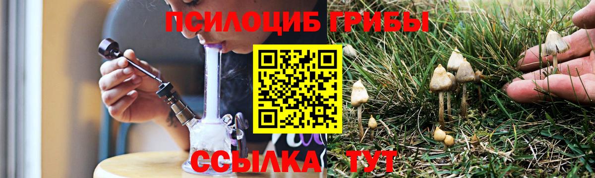 наркошоп  Всеволожск  Галлюциногенные грибы Magic Shrooms 