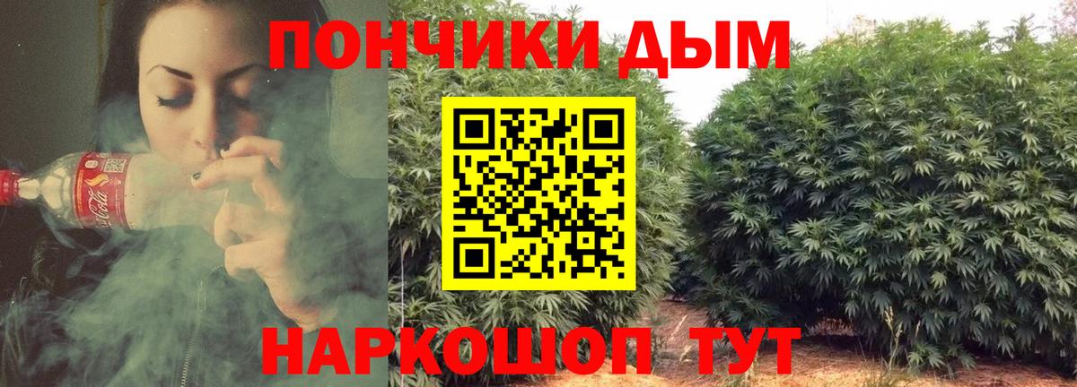 Шишки марихуана семена  Вход с VPN  Канабис Ganja  Бошки марихуана SATIVA & INDICA  Всеволожск 
